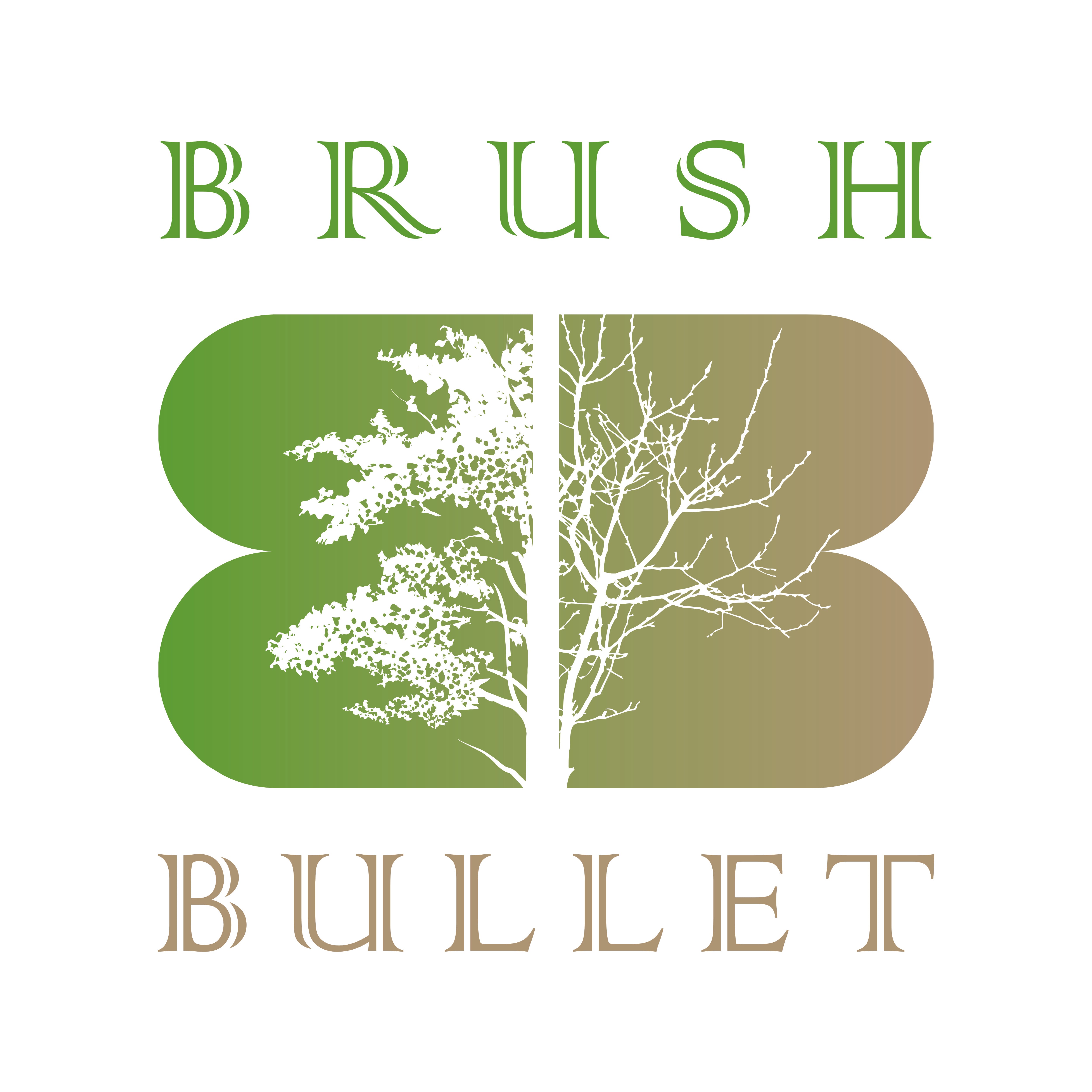 brush buster herbicide Brush Bullet